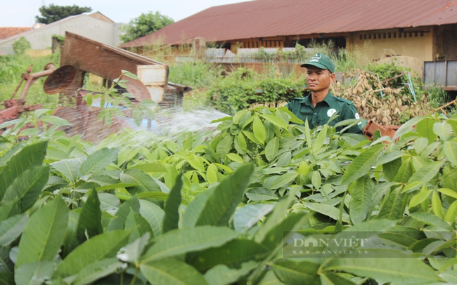 Nhiều gia đình dân tộc Mông ở Hà Giang vào Đồng Nai làm công nhân cao su, mua được đất, cất được nhà